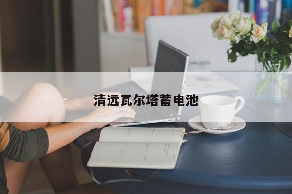 清遠(yuǎn)瓦爾塔蓄電池