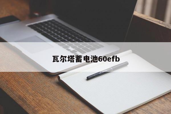 瓦爾塔蓄電池60efb