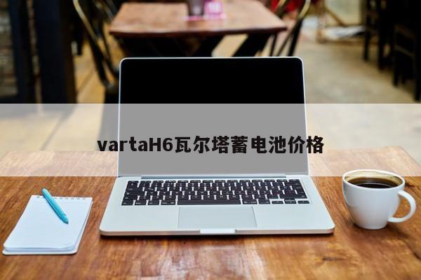 vartaH6瓦爾塔蓄電池價格