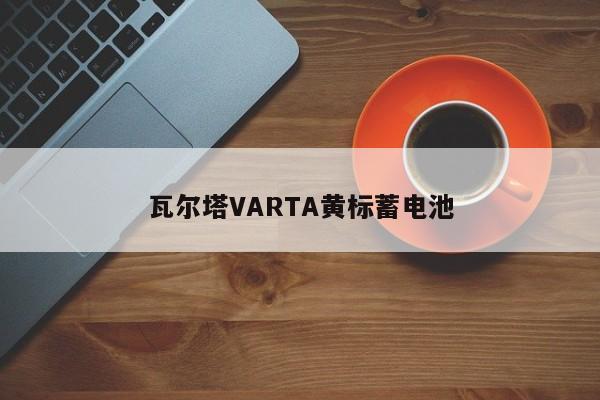 瓦爾塔VARTA黃標(biāo)蓄電池