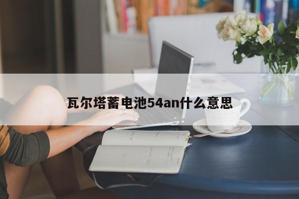 瓦爾塔蓄電池54an什么意思