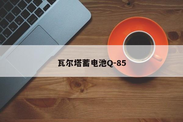 瓦爾塔蓄電池Q-85