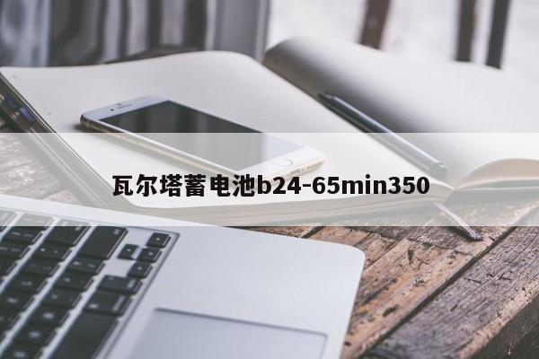 瓦爾塔蓄電池b24-65min350